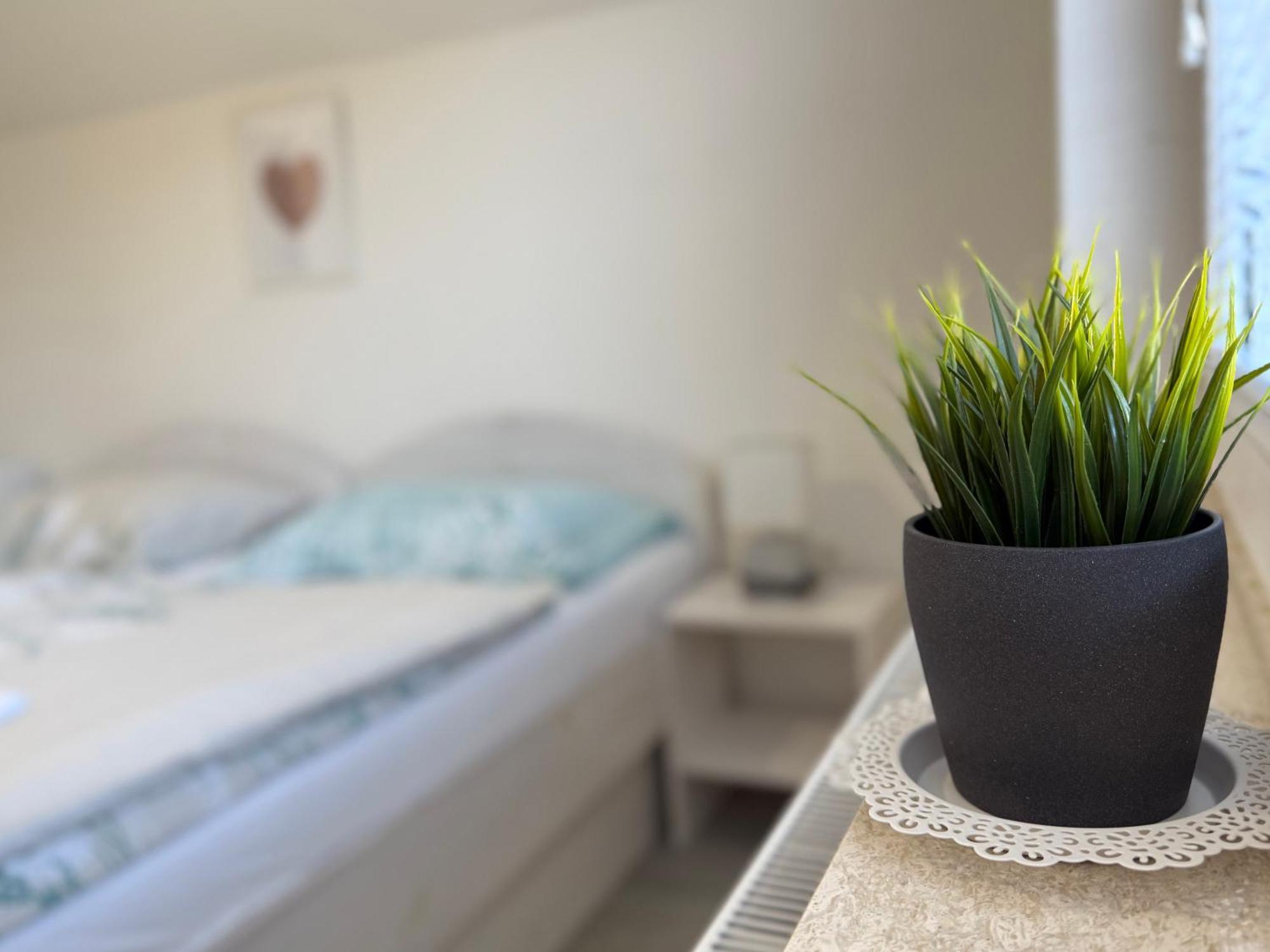 Guest House Kobal Spodnje Gorje 外观 照片