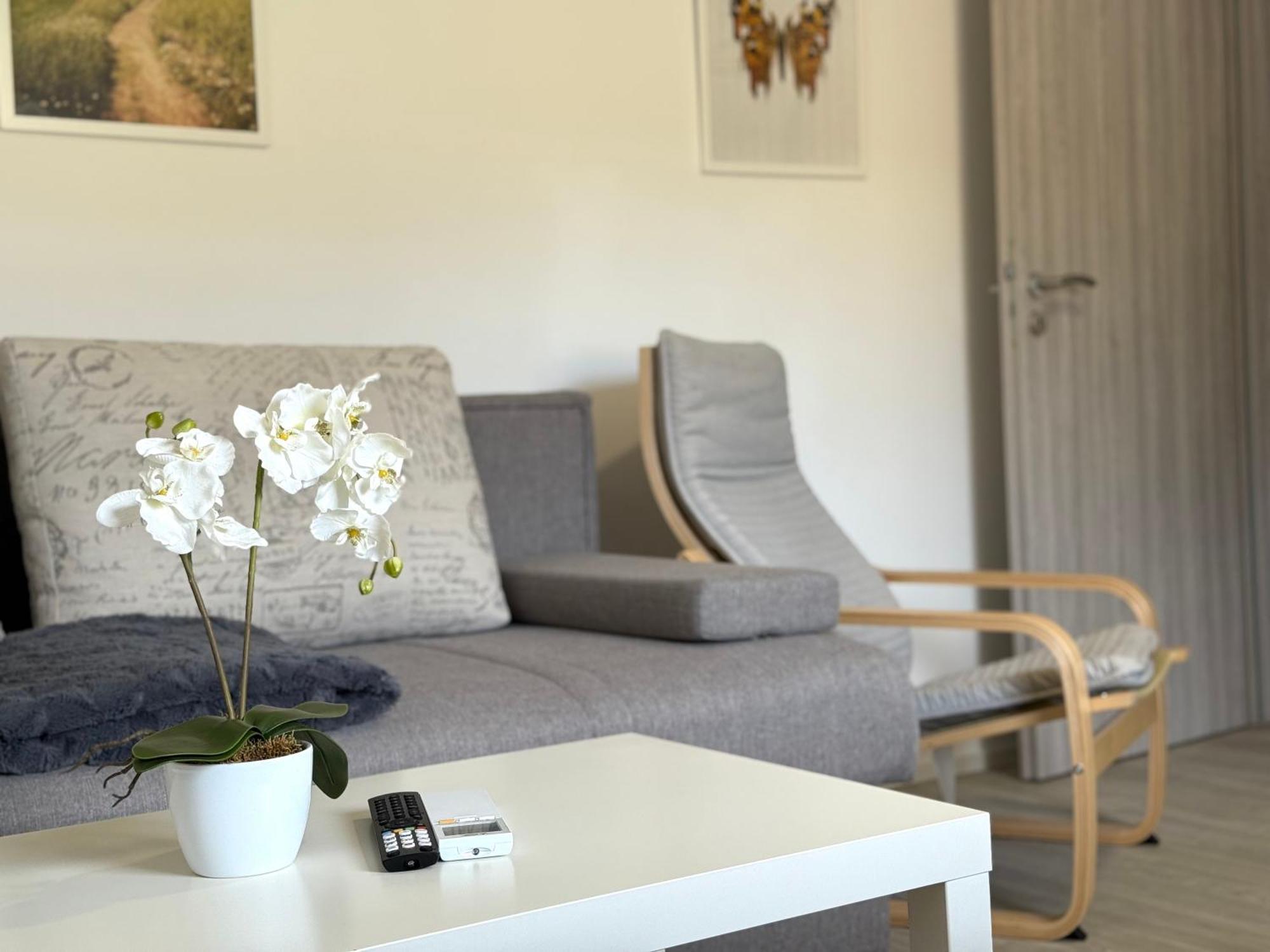 Guest House Kobal Spodnje Gorje 外观 照片