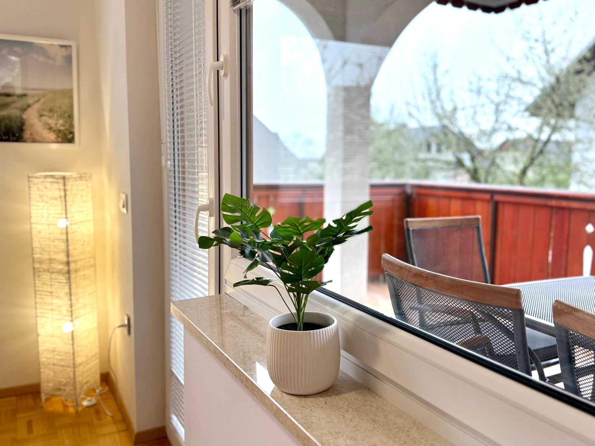 Guest House Kobal Spodnje Gorje 外观 照片