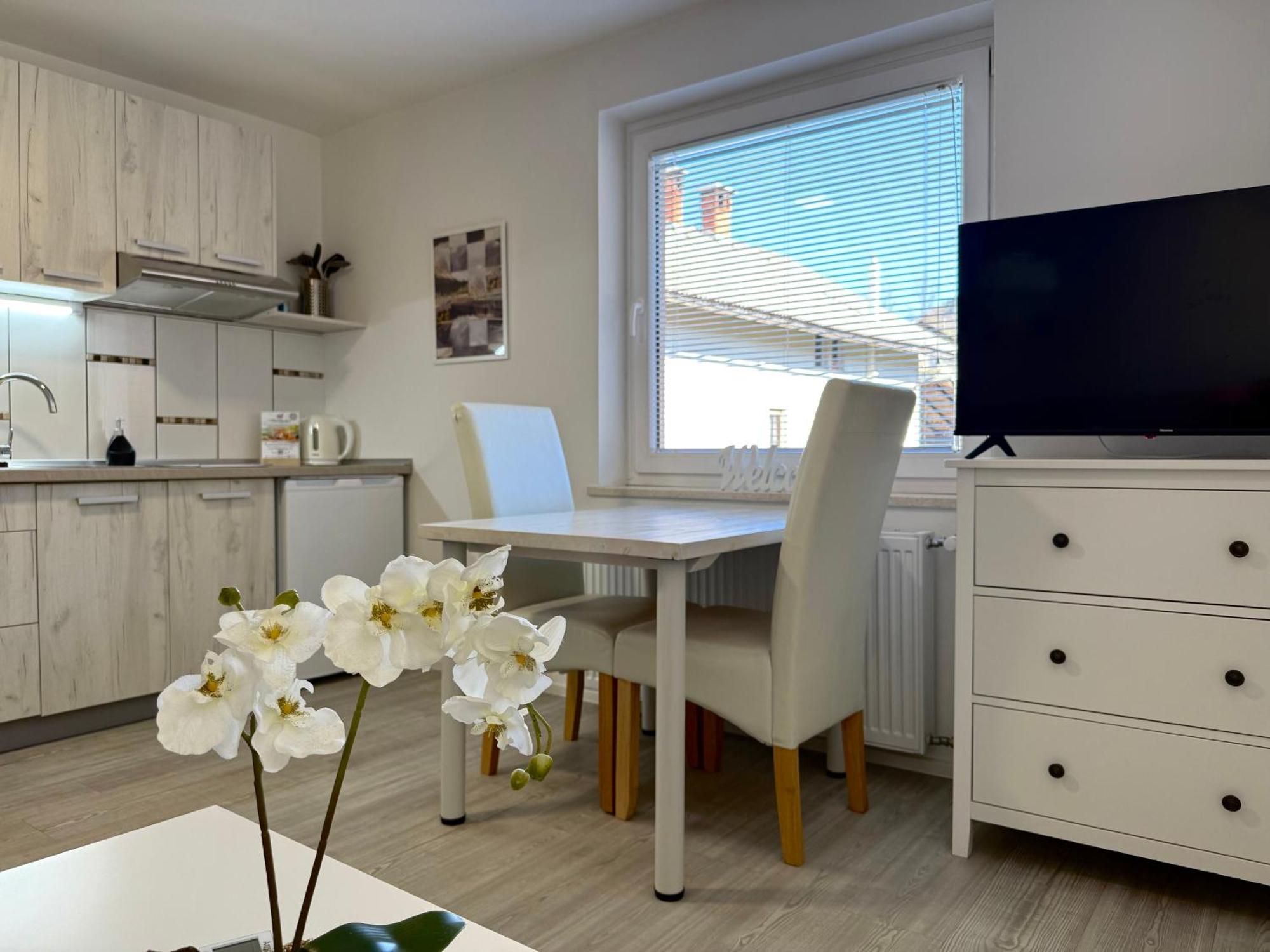 Guest House Kobal Spodnje Gorje 外观 照片