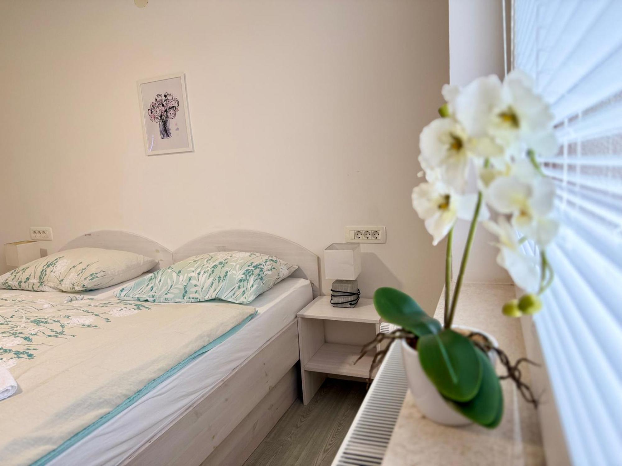 Guest House Kobal Spodnje Gorje 外观 照片
