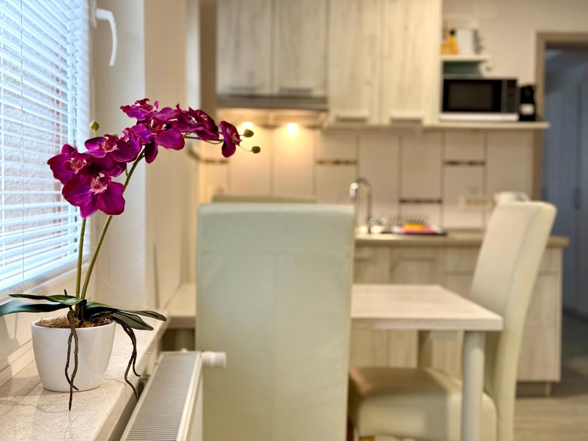 Guest House Kobal Spodnje Gorje 外观 照片