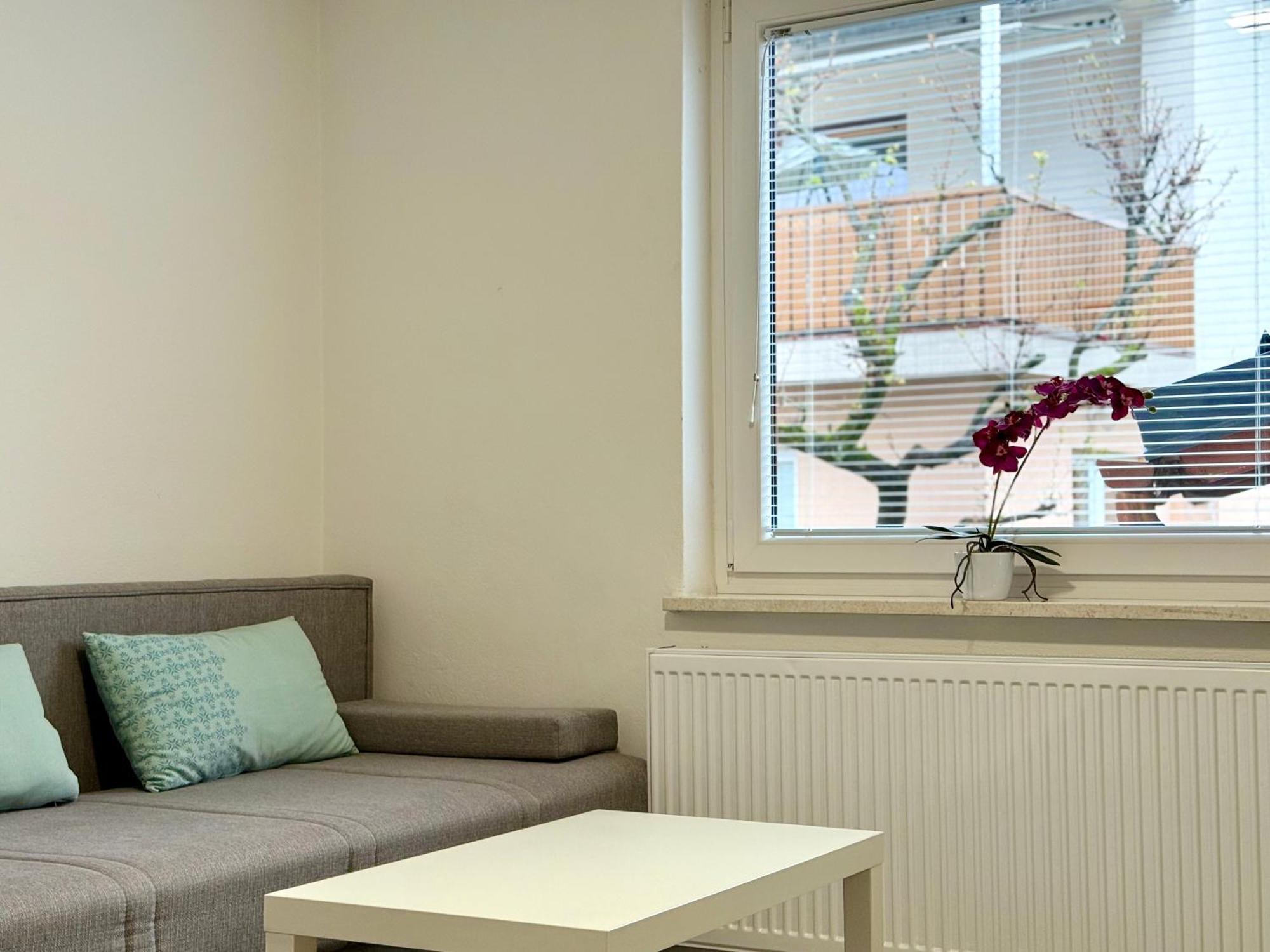 Guest House Kobal Spodnje Gorje 外观 照片