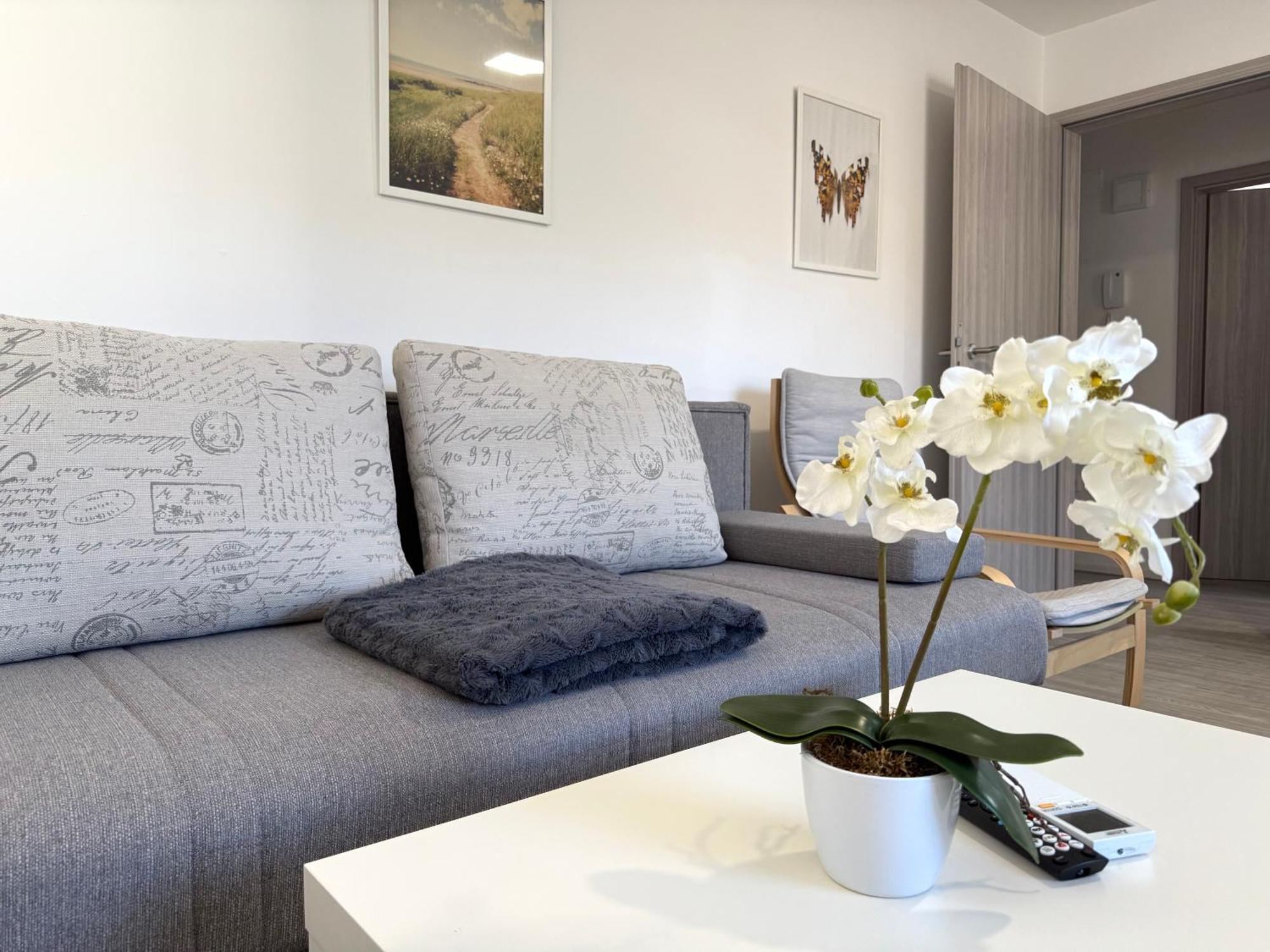 Guest House Kobal Spodnje Gorje 外观 照片